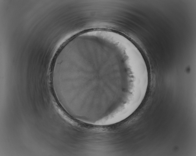 X0000115671037200912241415