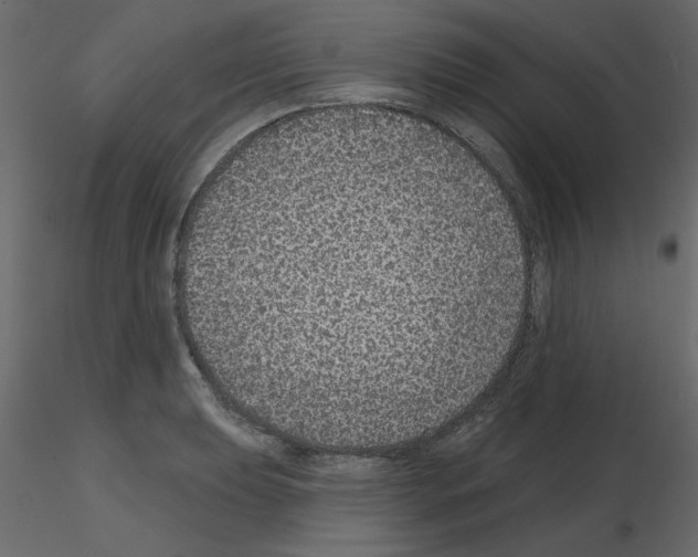 X0000115671039200912241415