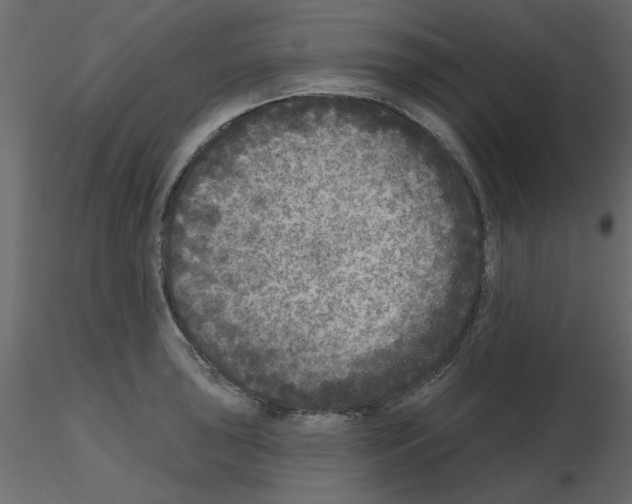 X0000115671043200912241415