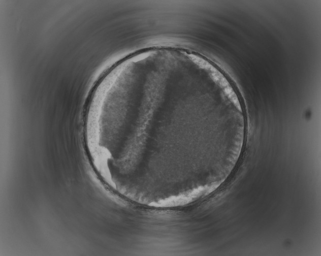 X0000115671045200912241415