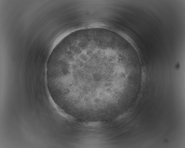 X0000115671047200912241415