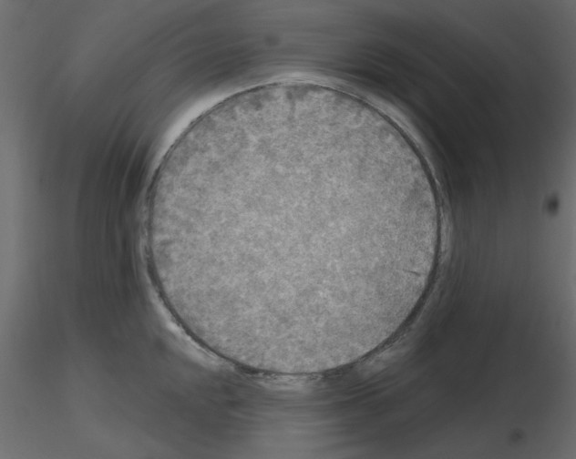 X0000115671048200912241415