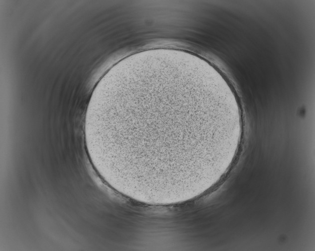 X0000115671049200912241415