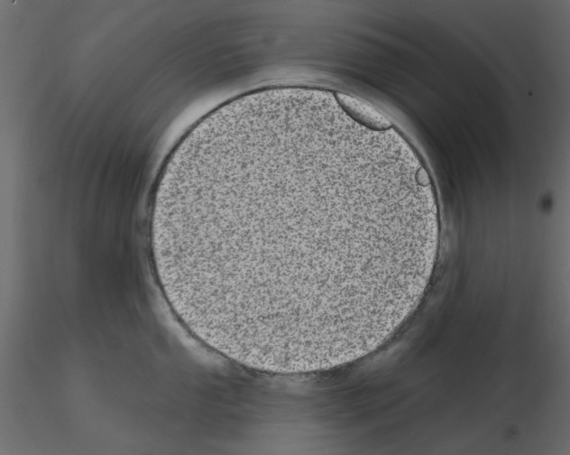 X0000115671053200912241416