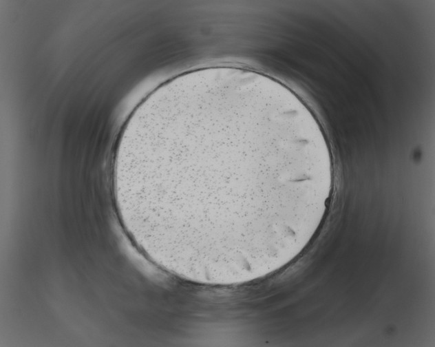 X0000115671054200912241416