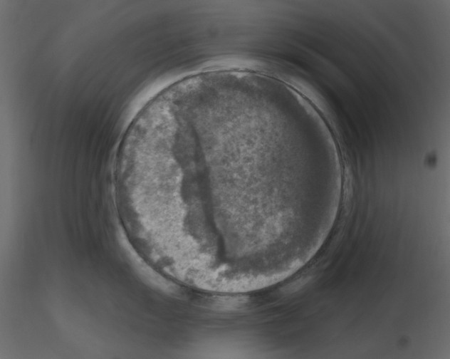 X0000115671055200912241416