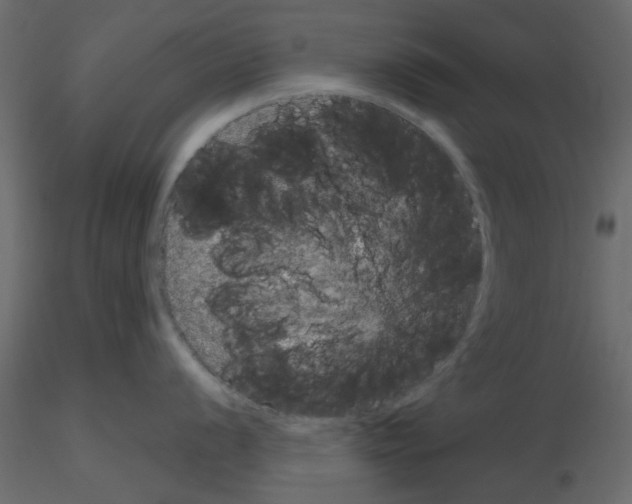 X0000115671056200912241416