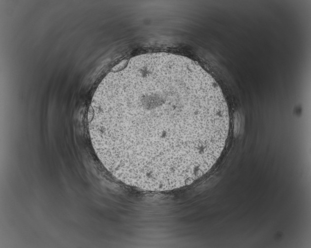 X0000115671059200912241415