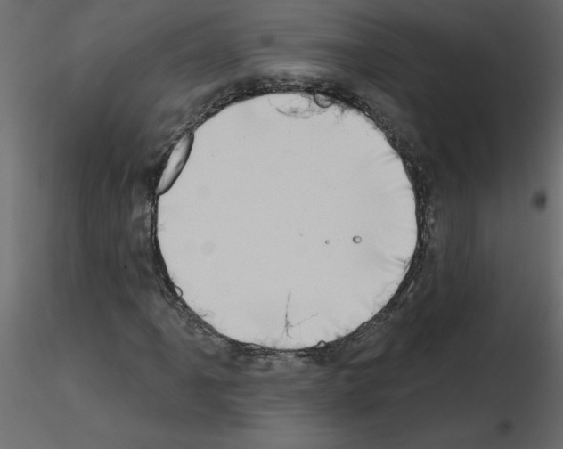 X0000115671061200912241415