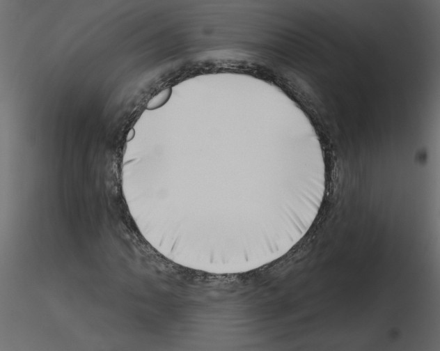 X0000115671062200912241415