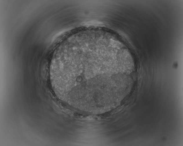 X0000115671063200912241415