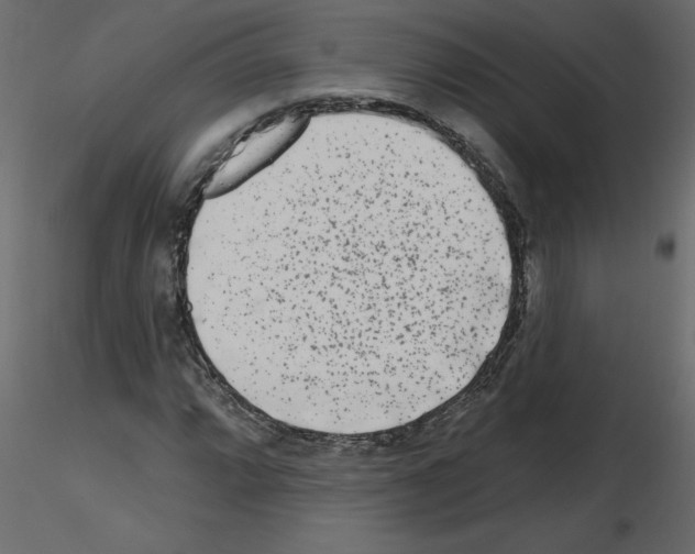 X0000115671064200912241415