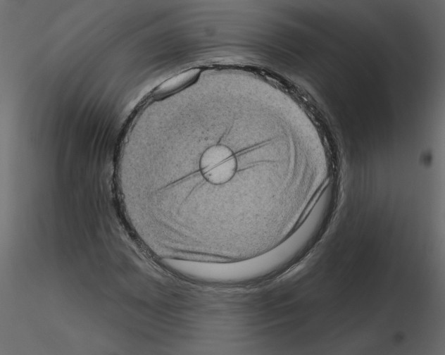 X0000115671065200912241415