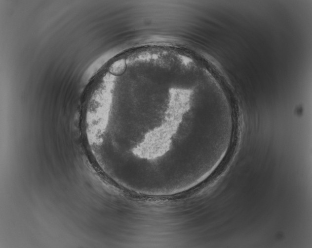 X0000115671066200912241415