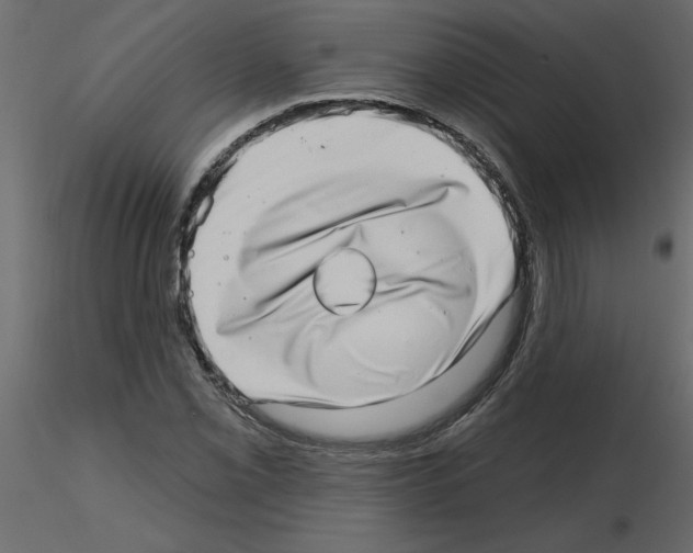 X0000115671069200912241415