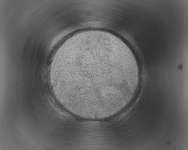 X0000115671070200912241415