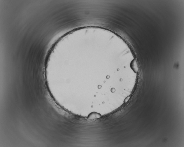 X0000115671072200912241415