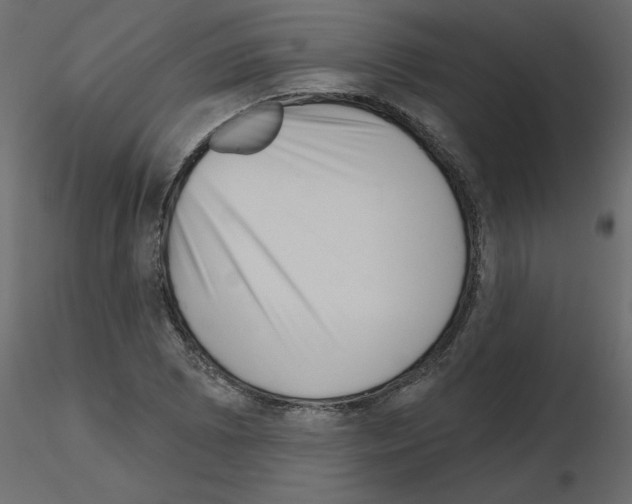 X0000115671073200912241415