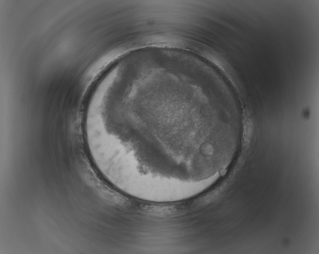 X0000115671074200912241415