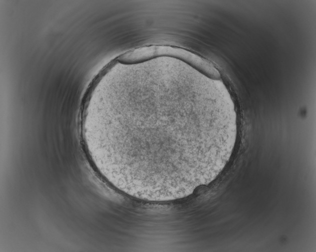 X0000115671076200912241415