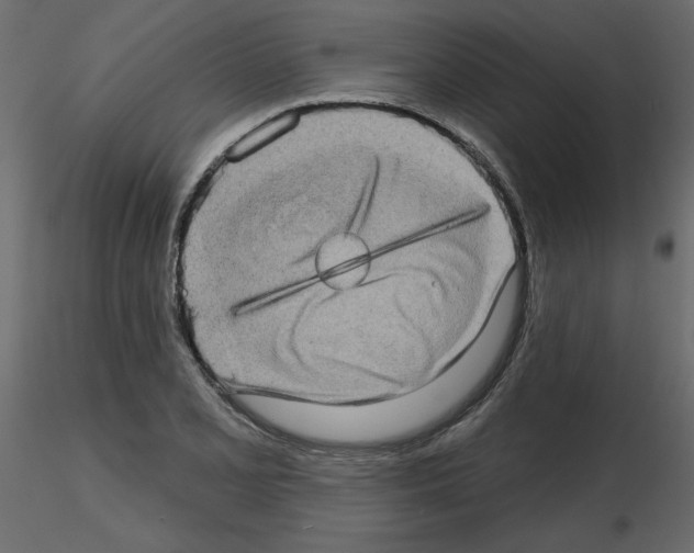 X0000115671077200912241415