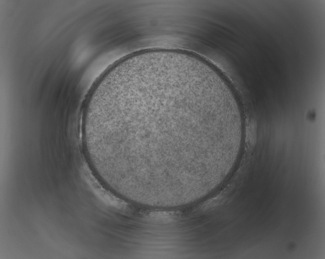 X0000115671078200912241415