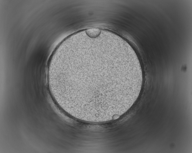 X0000115671079200912241415