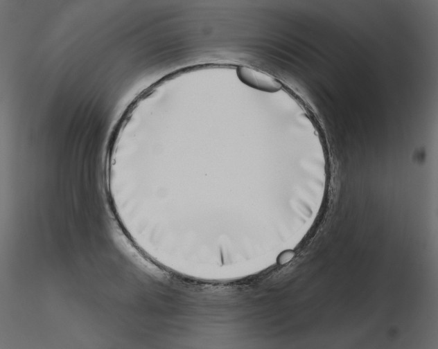 X0000115671080200912241415