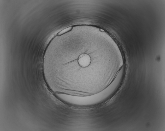 X0000115671081200912241415