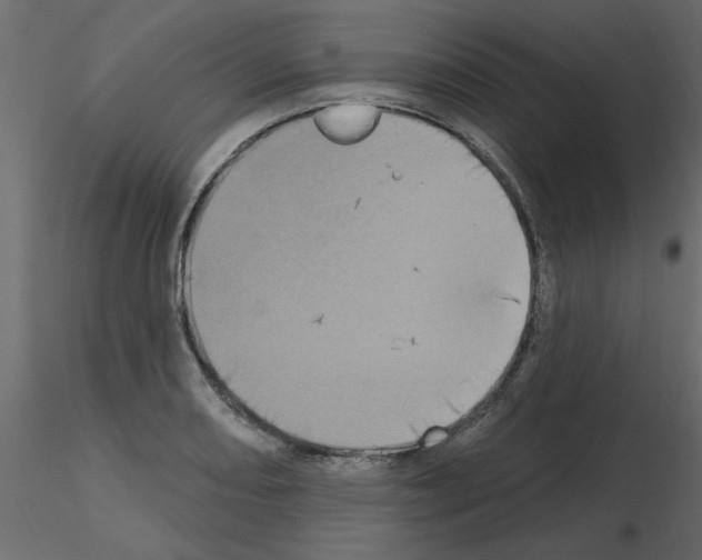 X0000115671082200912241415