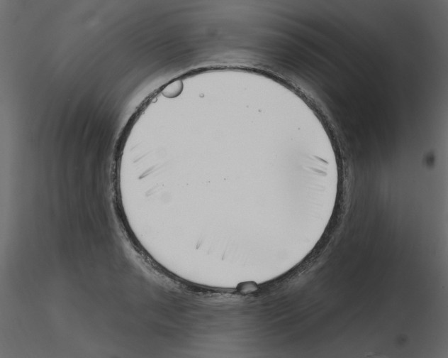 X0000115671085200912241415