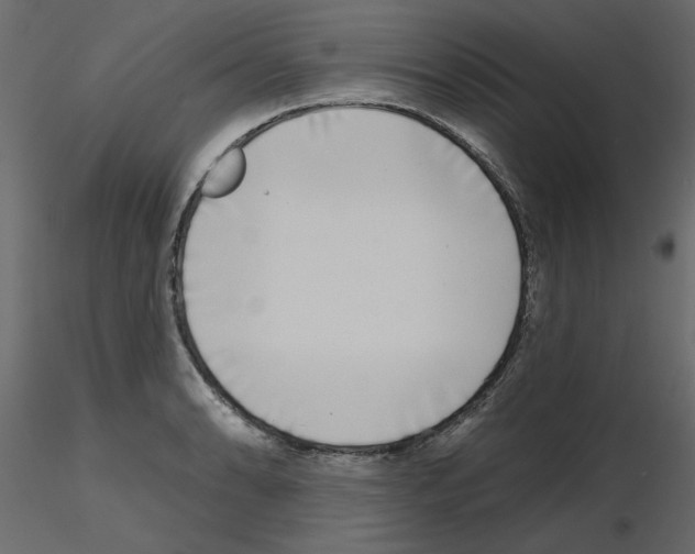 X0000115671086200912241415