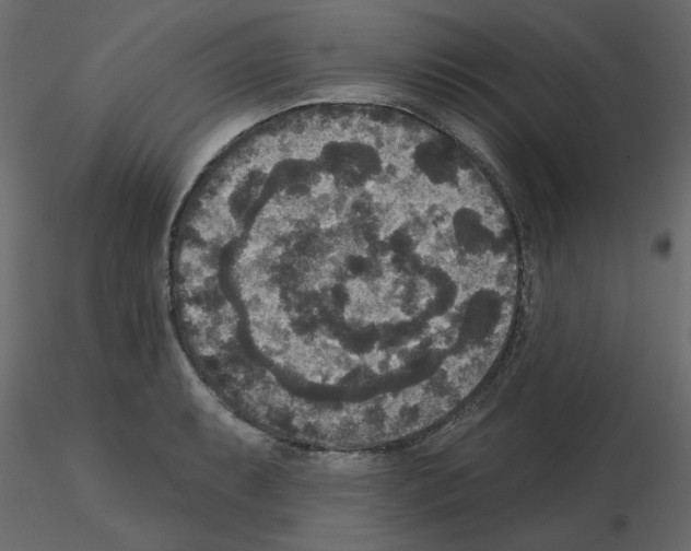 X0000115671087200912241415