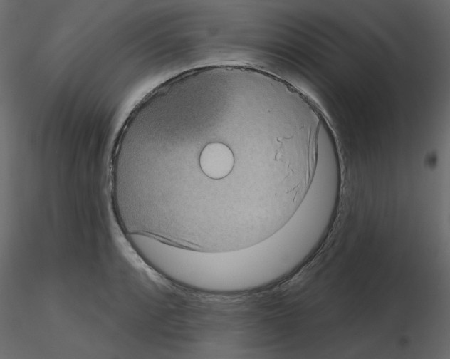 X0000115671088200912241415