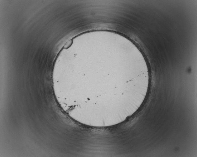 X0000115671089200912241414