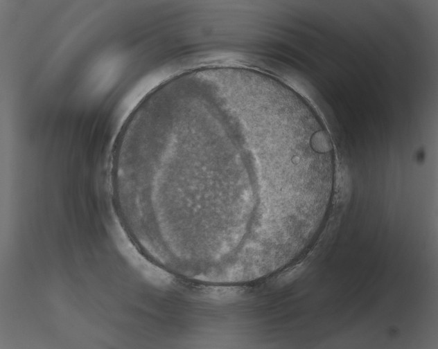 X0000115671090200912241414