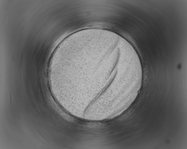 X0000115671091200912241414