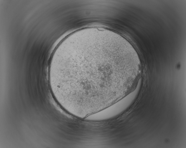 X0000115671092200912241414