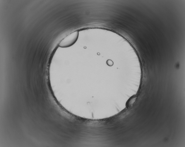 X0000115671093200912241414