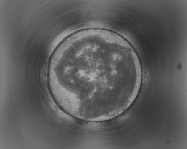 X0000115671094200912241414