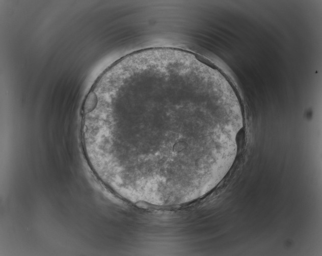 X0000115671096200912241414