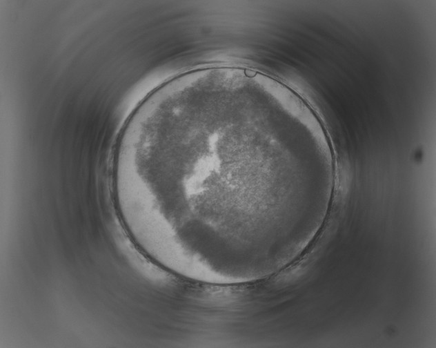 X0000115671098200912241414