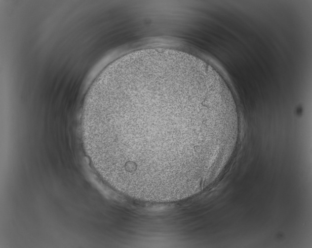 X0000115671099200912241414