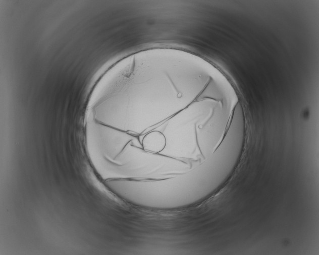 X0000115671100200912241414