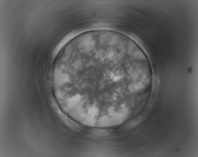 X0000115671101200912241414