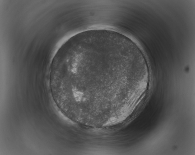 X0000115671102200912241414