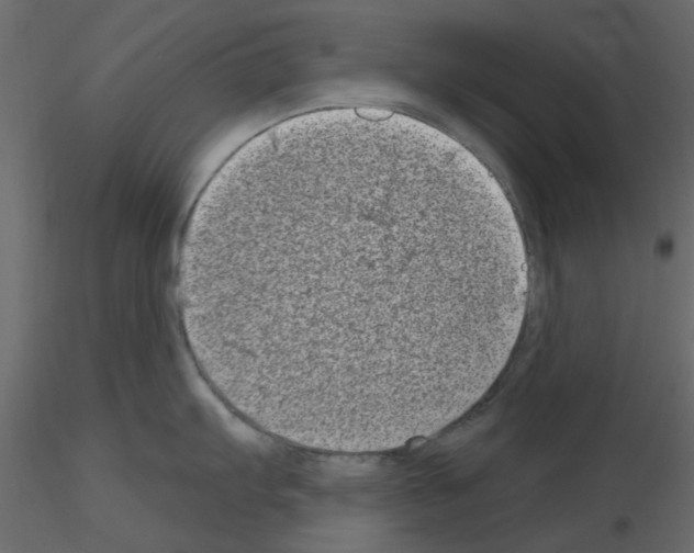 X0000115671103200912241414