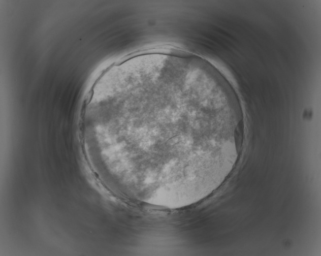 X0000115671104200912241414