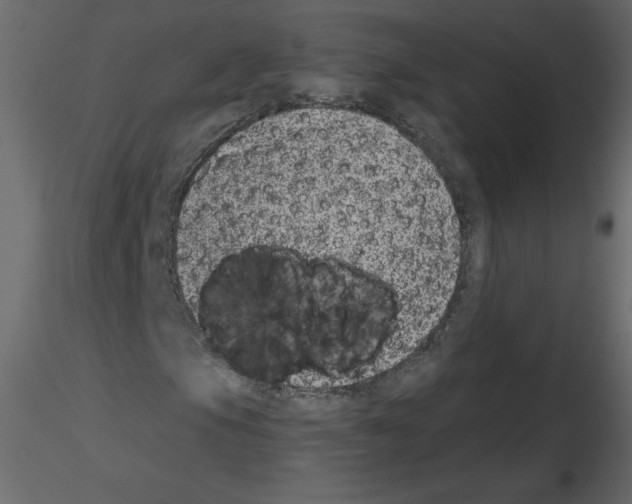 X0000115671105200912241414