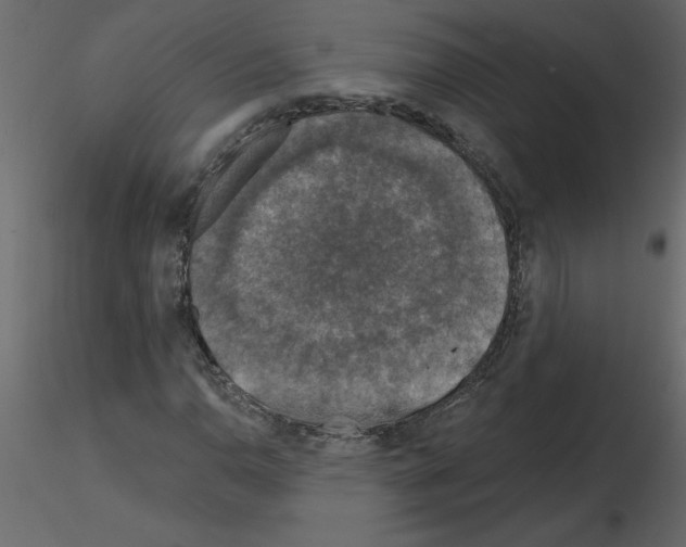 X0000115671110200912241414